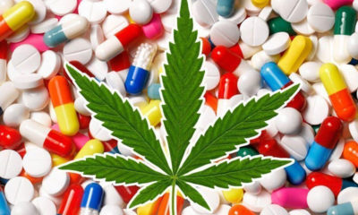 Is Legalizing Marijuana Really A Threat To Big Pharma?