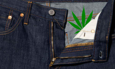 Levi's New Line of Hemp Clothing Reduces Water Waste