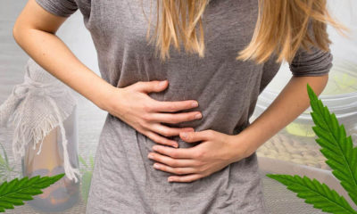 Long-Term Cannabis Use Improves Symptoms of IBS, Study Shows