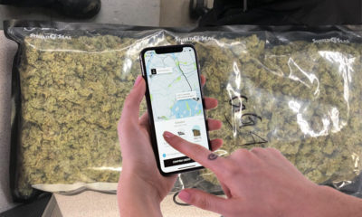 Man Left 2 Pounds of Pot in Uber, Cop Poses as Driver to Return it