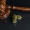 Marijuana Possession Defendant Arrested for Lighting Joint in Court