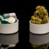 Medical Cannabis Laws Lower Rates of Opioid Prescription, Study Says