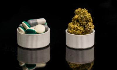 Medical Cannabis Laws Lower Rates of Opioid Prescription, Study Says