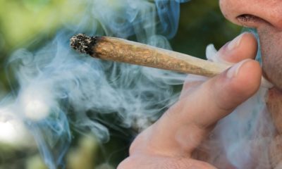 From Banning Smokables to Limiting THC: Medical Marijuana in Florida