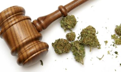 Michigan Judge Extends Deadline for 98 Closing Marijuana Facilities