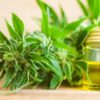 More Americans Reported Using CBD Than THC, Survey Says