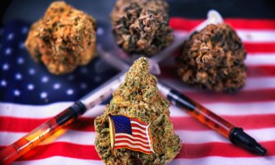 New Bill Protects Federal Benefits of Veterans that use Marijuana