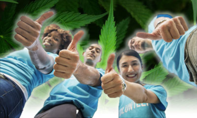 New Poll Reveals 84 Percent of Americans Support Legal Marijuana