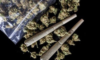 Oregon Senate Passes Bill to Limit Recreational Marijuana Production
