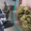 Oregon Tracks Dispensaries Selling Bulk Weed To Individuals