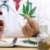 pot-charge-dropped-after-lab-admits-it-can't-tell-hemp-from-cannabis