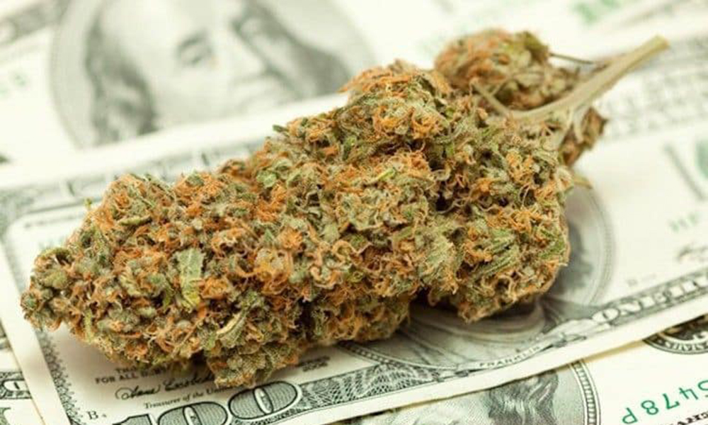 Price is the Most Important Factor to Cannabis Shoppers, Study Says