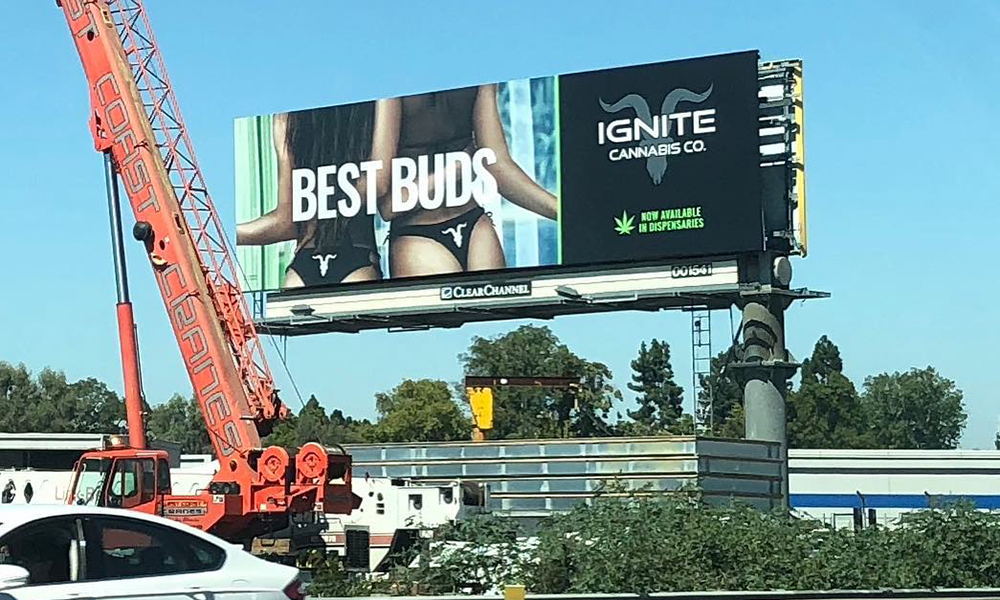 Racy Cannabis Billboard Sparks Outrage in Modesto
