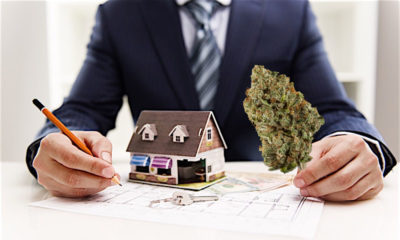 Real Estate Investors Capitalize on Failed Weed Businesses