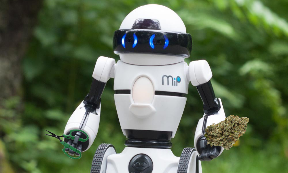 Smart Robots Could Replace Human Weed Trimmers Soon