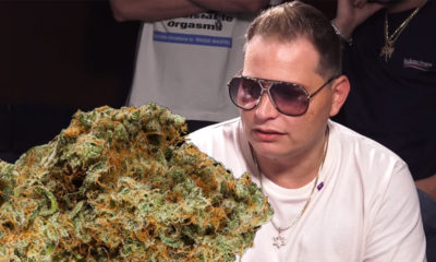 Scott Storch Shares How Cocaine Addiction Ruined His Weed Business