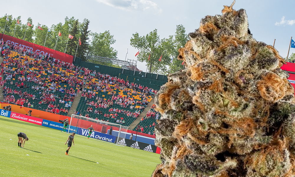 Sports Stadium Takes Cannabis Company Name After Sponsorship