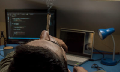 Study Finds Cannabis Use After Work Hours Doesn’t Affect Job Performance
