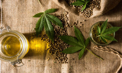 The USDA Says They No Longer Consider Hemp a Controlled Substance