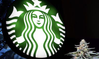 This Starbucks Manager Is Building A Cannabis Dispensary Chain