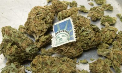 USPS Workers Are Getting Busted for Delivering Cannabis Packages