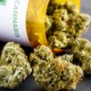 Vermont Town May Vote to Ban Medical Cannabis Dispensaries