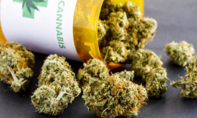 Vermont Town May Vote to Ban Medical Cannabis Dispensaries