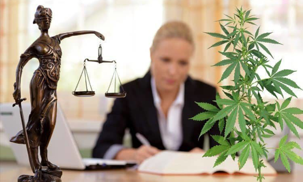 10 Ways to Work in the Cannabis Industry Without Touching the Plant