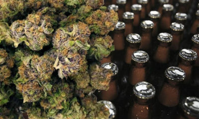 Legal Weed Market Gaining On Wine, Cigarette And Beer Sales