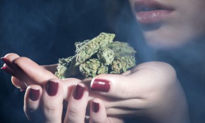 Women Prefer Cannabis Strains High in CBD, According to New Study