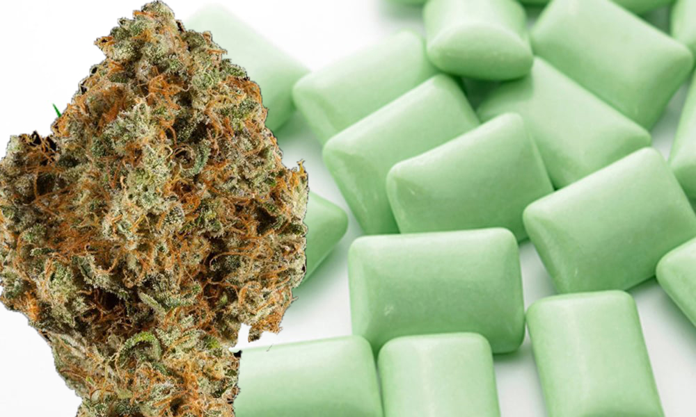 Wrigley Chewing Gum Billionaire Invests In Cannabis